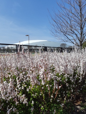 ｶﾝﾄﾘｰﾌｪｽﾀin熊谷