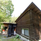 奥の大きな木は、オニグルミ。このオニグルミの実を置いておくと、早朝に野生のリスがデッキに遊びに来る 和室の周りにはルーバーの壁、傾斜を利用した平屋