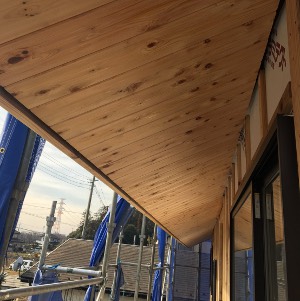 サワラの羽目板