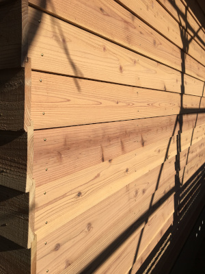 杉の鎧張り in群馬