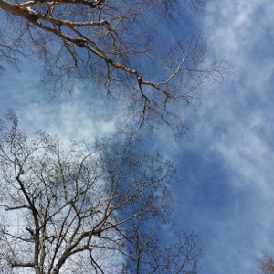 建築予定地の下見