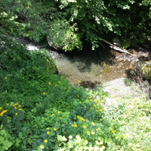 神流町へ・・・化石発見？