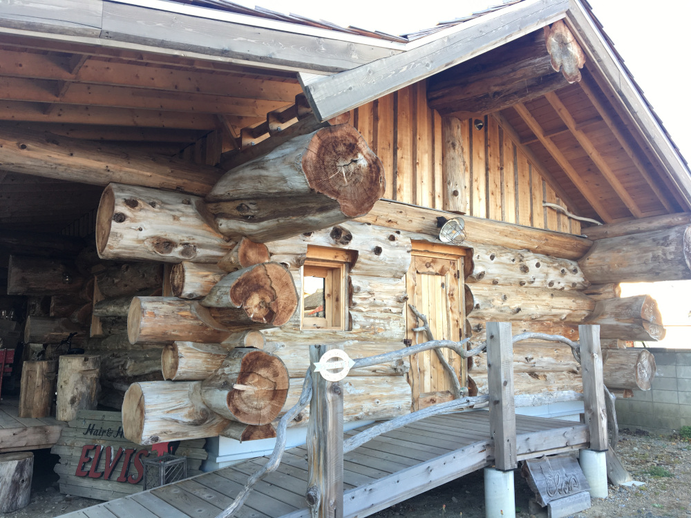 大迫力のﾊﾝﾄﾞｶｯﾄﾛｸﾞﾊｳｽ