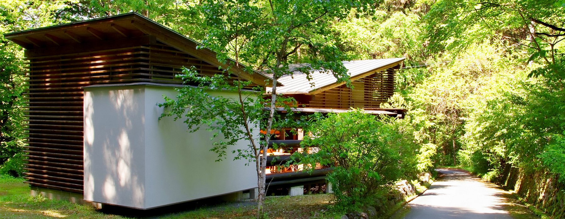 自然素材にこだわるキノイエの建築家