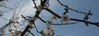 見学できます！