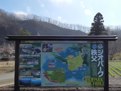 『ようばけ』で化石発見